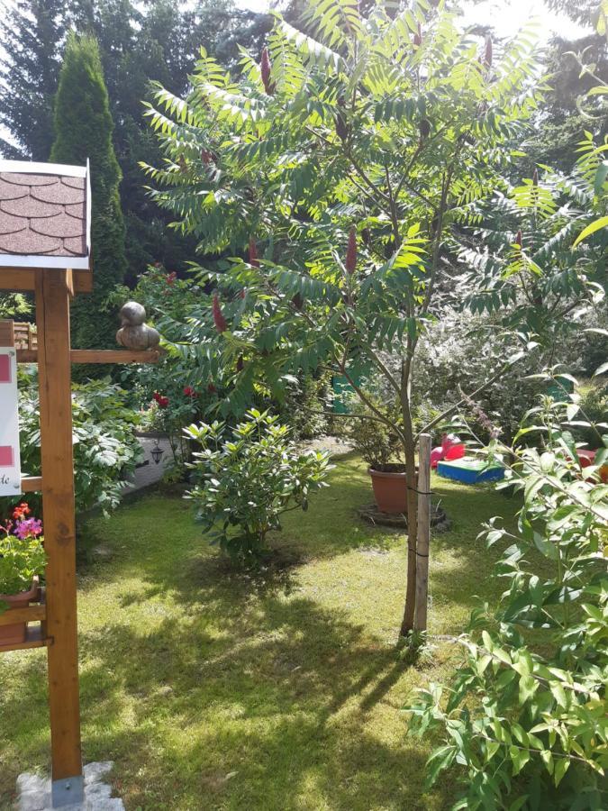 Apartment Seidelsferienparadiesgahlenz Gahlenz