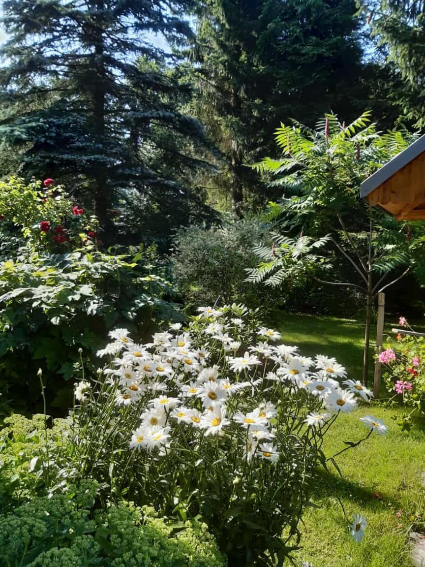 Seidelsferienparadiesgahlenz * Gahlenz