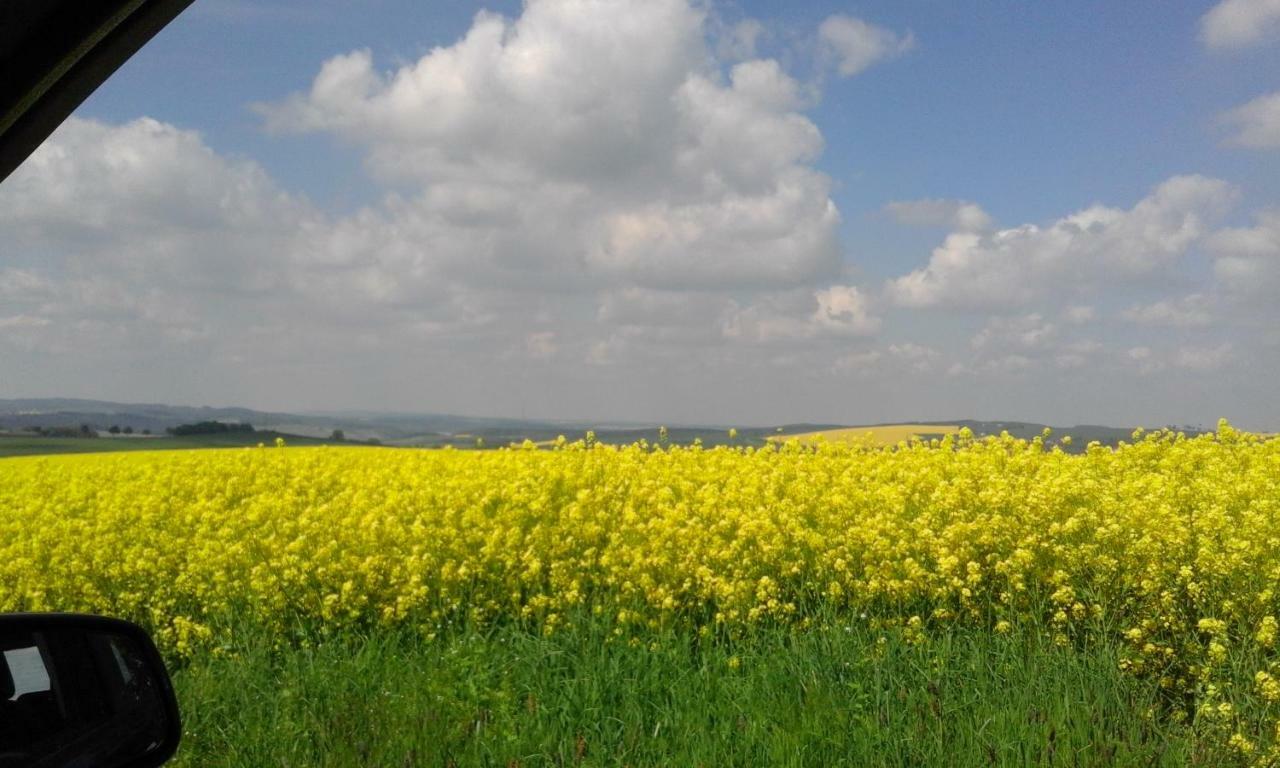Seidelsferienparadiesgahlenz *
