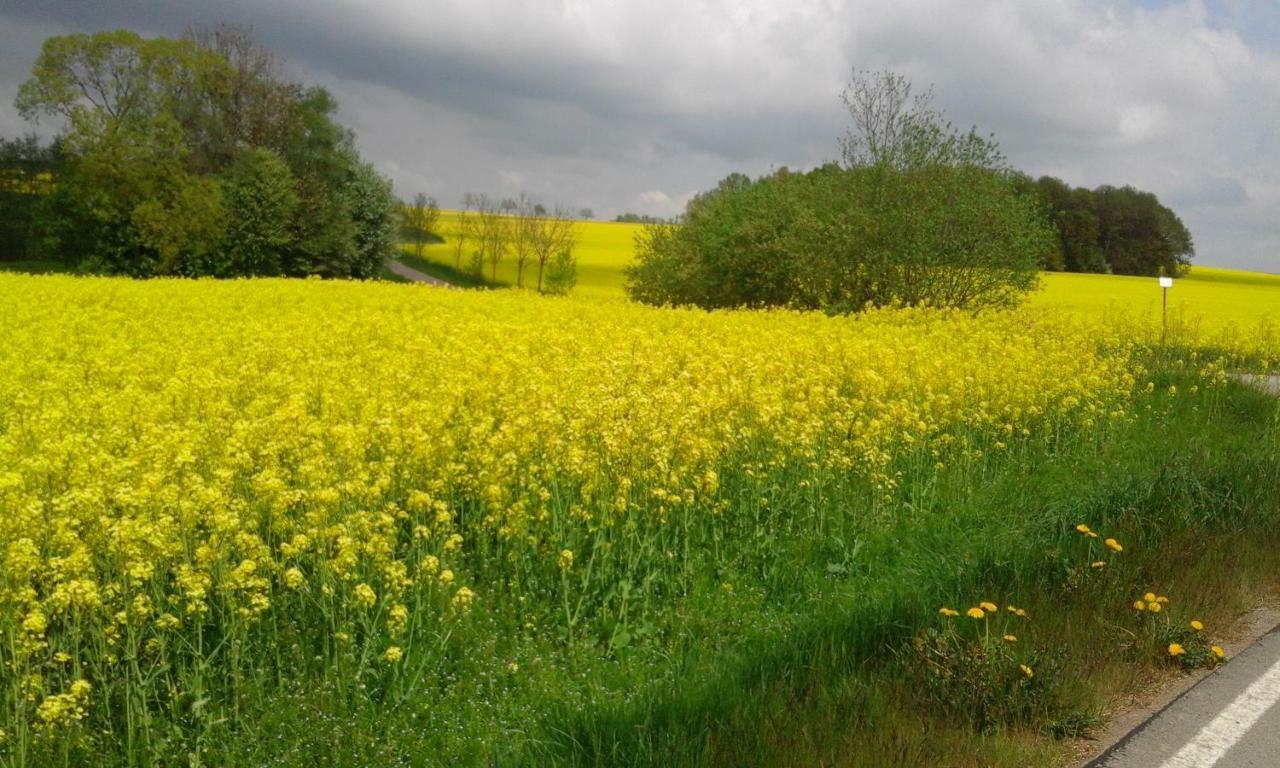 Seidelsferienparadiesgahlenz Gahlenz